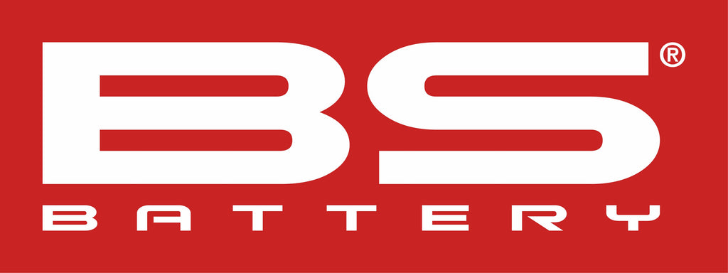 BS-batteri BSLI-02 MAX litiumbatteri